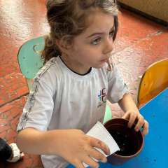 2025-ed-infantil-arvore-1-instituto-sao-piox-osasco-14