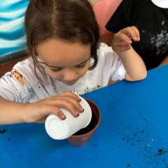2025-ed-infantil-arvore-1-instituto-sao-piox-osasco-7