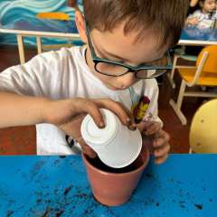 2025-ed-infantil-arvore-1-instituto-sao-piox-osasco-8