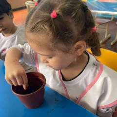 2025-ed-infantil-arvore-2-instituto-sao-piox-osasco-10