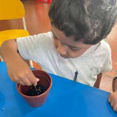 2025-ed-infantil-arvore-2-instituto-sao-piox-osasco-11