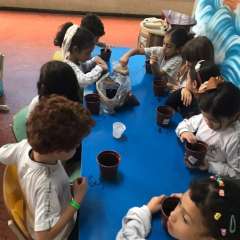 2025-ed-infantil-arvore-2-instituto-sao-piox-osasco-12
