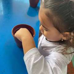 2025-ed-infantil-arvore-2-instituto-sao-piox-osasco-2