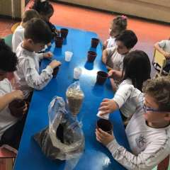 2025-ed-infantil-arvore-2-instituto-sao-piox-osasco-20