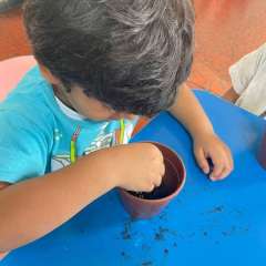 2025-ed-infantil-arvore-2-instituto-sao-piox-osasco-3