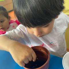 2025-ed-infantil-arvore-2-instituto-sao-piox-osasco-4