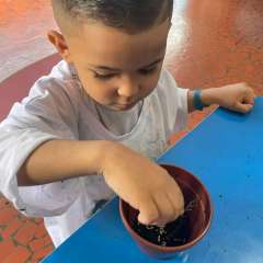 2025-ed-infantil-arvore-2-instituto-sao-piox-osasco-5
