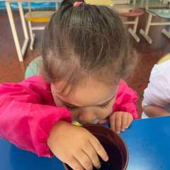 2025-ed-infantil-arvore-2-instituto-sao-piox-osasco-6