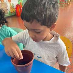 2025-ed-infantil-arvore-2-instituto-sao-piox-osasco-7