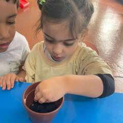 2025-ed-infantil-arvore-2-instituto-sao-piox-osasco-8