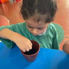 2025-ed-infantil-arvore-2-instituto-sao-piox-osasco-9