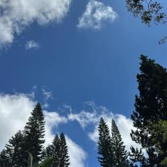 2024-day-camp-8ano-9ano-piox-9