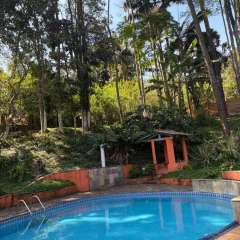 2025-8e9ano-day-camp-instituto-sao-piox-osasco-12 2025-8e9ano-day-camp-instituto-sao-piox-osasco-12