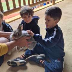 2026-petzzo-instituto-sao-piox-osasco-1