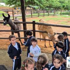 2026-petzzo-instituto-sao-piox-osasco-13