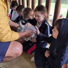 2026-petzzo-instituto-sao-piox-osasco-14