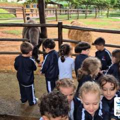 2026-petzzo-instituto-sao-piox-osasco-16