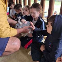 2026-petzzo-instituto-sao-piox-osasco-17