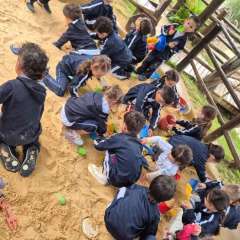 2026-petzzo-instituto-sao-piox-osasco-19