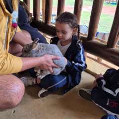 2026-petzzo-instituto-sao-piox-osasco-2