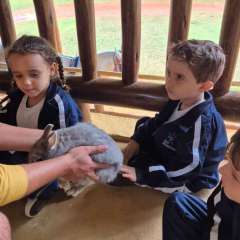 2026-petzzo-instituto-sao-piox-osasco-21