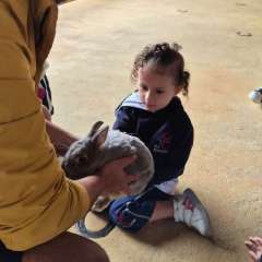 2026-petzzo-instituto-sao-piox-osasco-22