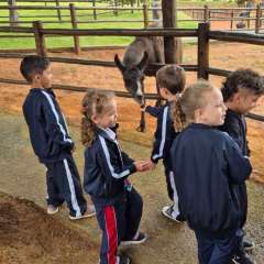 2026-petzzo-instituto-sao-piox-osasco-24