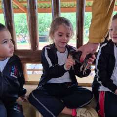 2026-petzzo-instituto-sao-piox-osasco-3