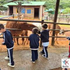 2026-petzzo-instituto-sao-piox-osasco-36