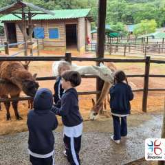 2026-petzzo-instituto-sao-piox-osasco-37