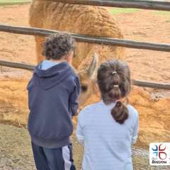 2026-petzzo-instituto-sao-piox-osasco-38