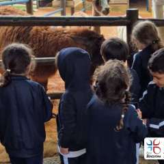 2026-petzzo-instituto-sao-piox-osasco-39