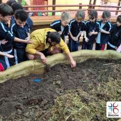 2026-petzzo-instituto-sao-piox-osasco-41