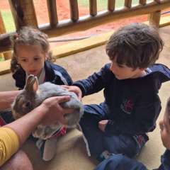 2026-petzzo-instituto-sao-piox-osasco-7