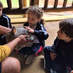 2026-petzzo-instituto-sao-piox-osasco-9