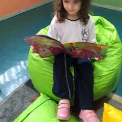 livro-40