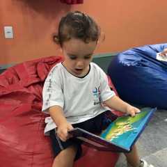 livro-43