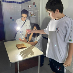 2024-eclipse-8ano-piox-8