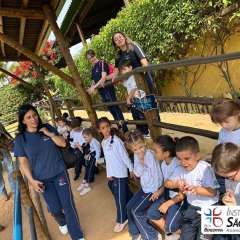 2025-passeio-zoo-instituto-sao-piox-112
