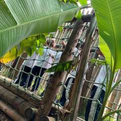 2025-passeio-zoo-instituto-sao-piox-129