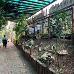 2025-passeio-zoo-instituto-sao-piox-130