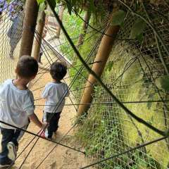 2025-passeio-zoo-instituto-sao-piox-135