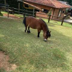 2025-passeio-zoo-instituto-sao-piox-158