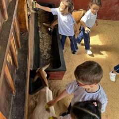 2025-passeio-zoo-instituto-sao-piox-17
