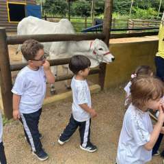 2025-passeio-zoo-instituto-sao-piox-18
