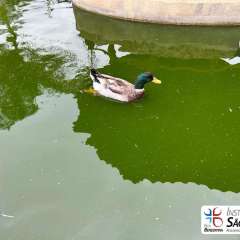 2025-passeio-zoo-instituto-sao-piox-2