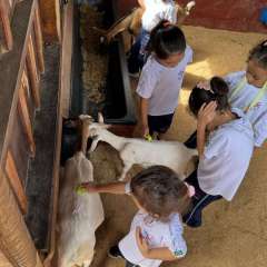 2025-passeio-zoo-instituto-sao-piox-20