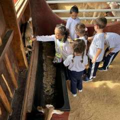 2025-passeio-zoo-instituto-sao-piox-21