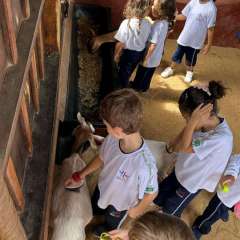 2025-passeio-zoo-instituto-sao-piox-22