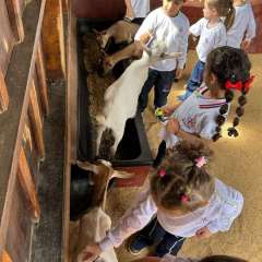 2025-passeio-zoo-instituto-sao-piox-26